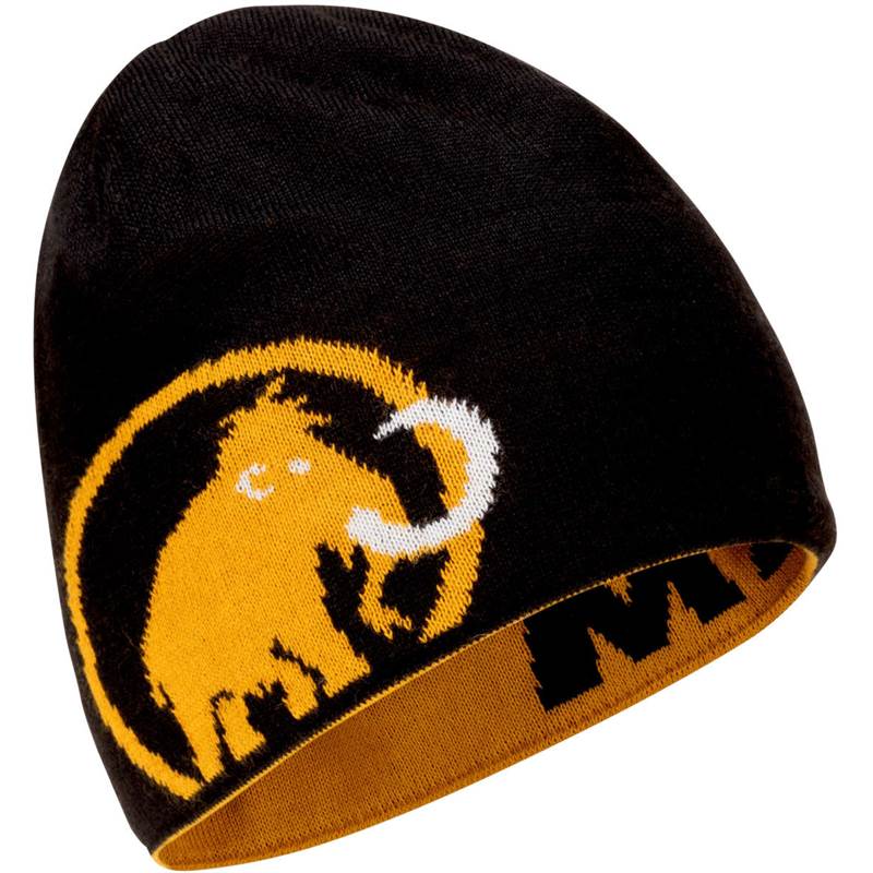 Mammut Logo Beanie Hat-2