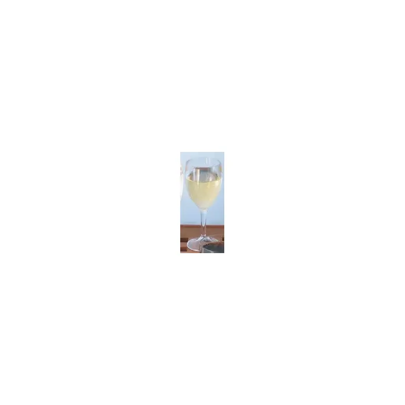 Acrylic Wine Glass-2