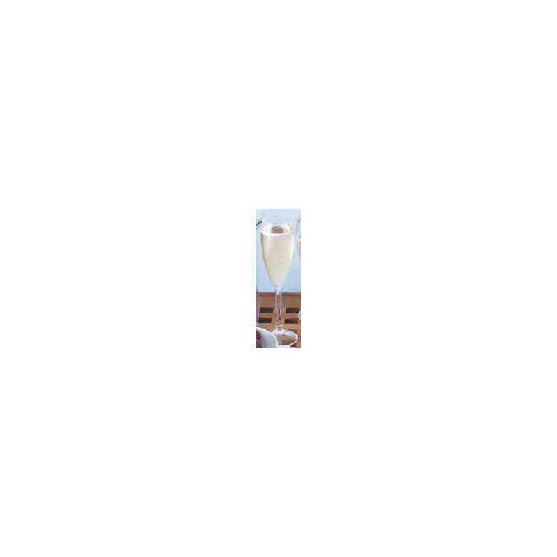 Acrylic Champagne Flute-2