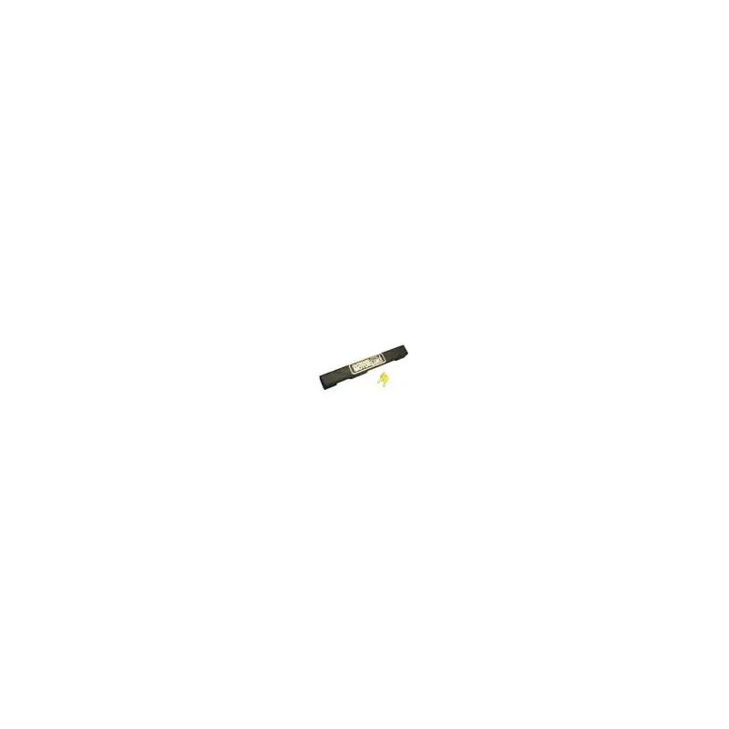 Outboard Motor Lock-2
