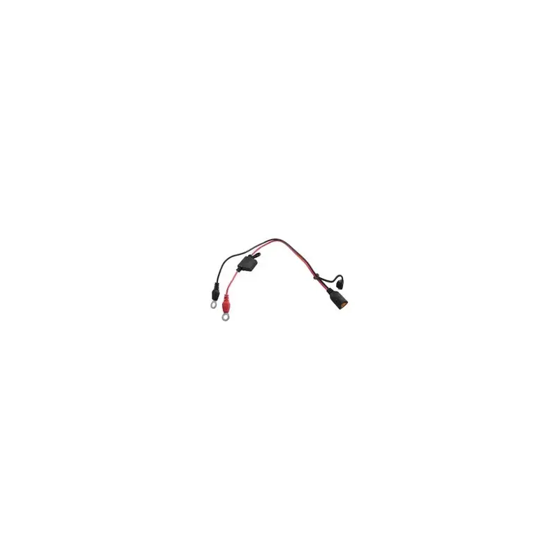 CTEK Eyelet/Ring Battery Status Indicator-2
