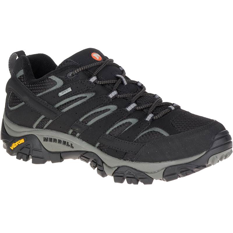 men's moab 2 gore tex shoes