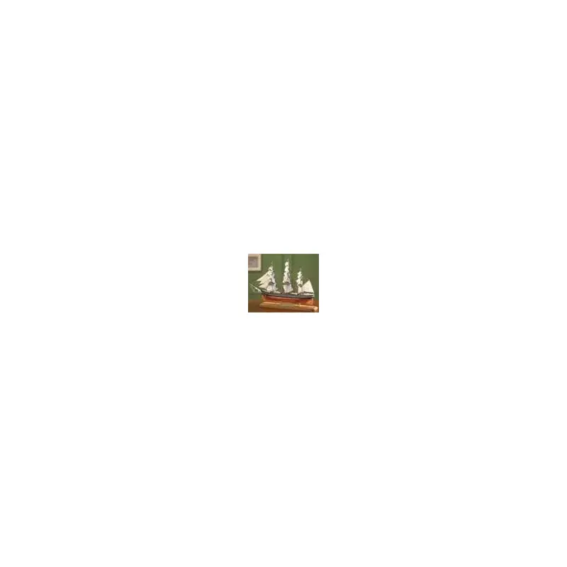Cutty Sark Limited Edition Model-2