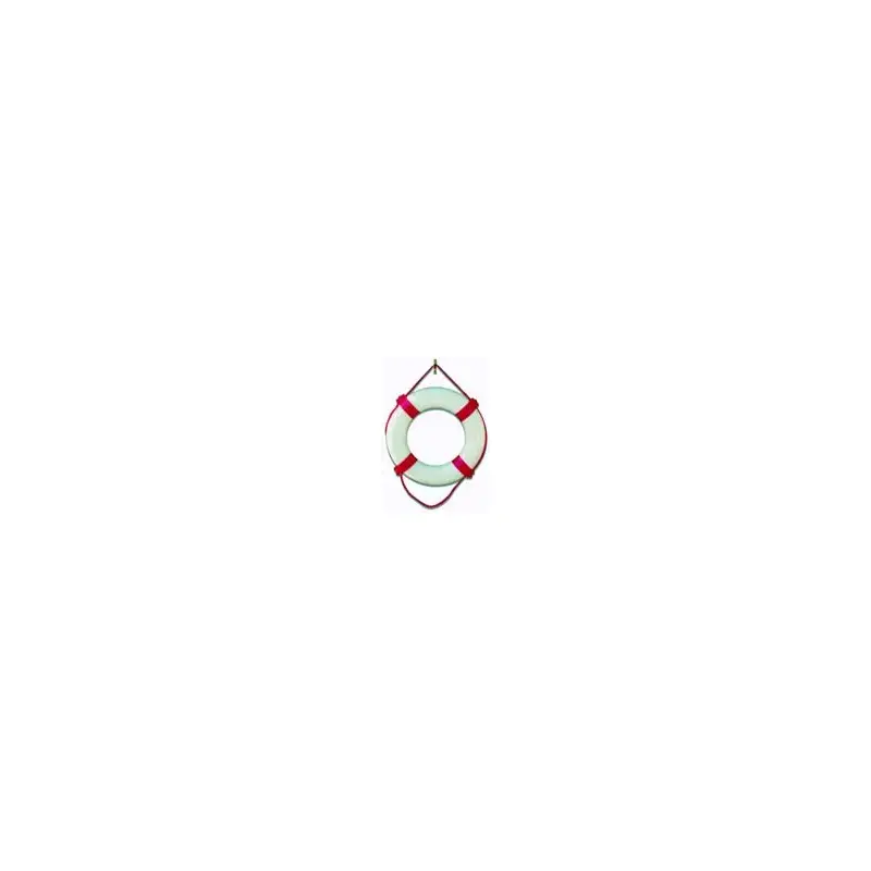 Life Ring-2
