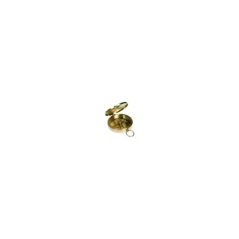 Dry Needle Brass Compass-2