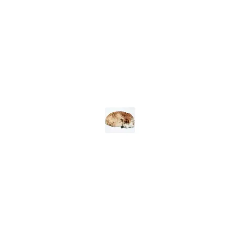 Freddy Ships Cat Model-2