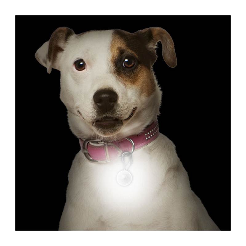 Nite Ize Petlit LED Collar Light-5