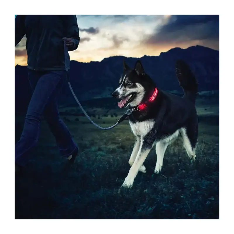 Nite Ize Nite Dawg LED Collar-5