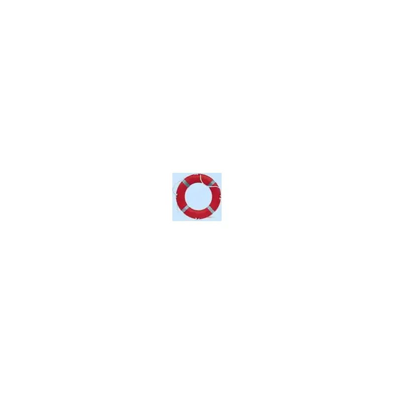 Standard Lifebuoy-2