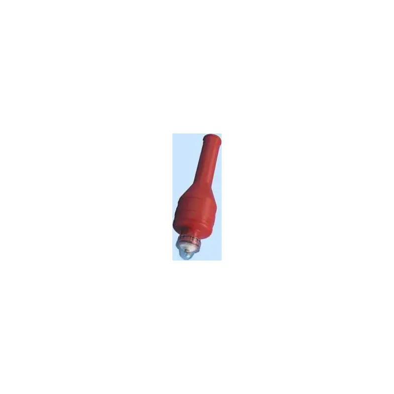 Standard Lifebuoy Light-2