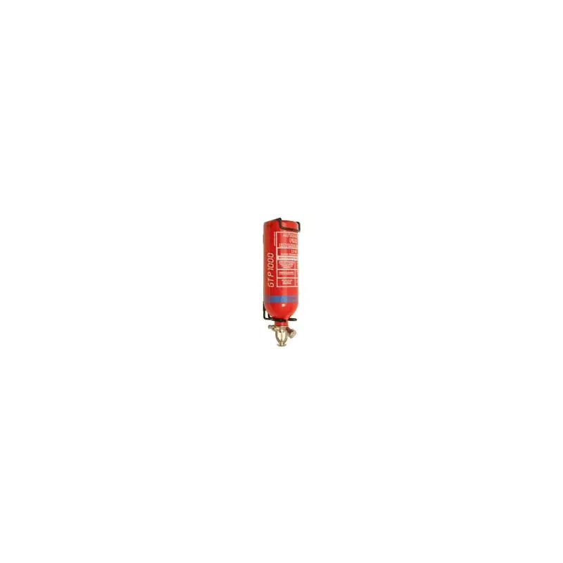 1 Kg GTFE Automatic Fire Extinguisher-2