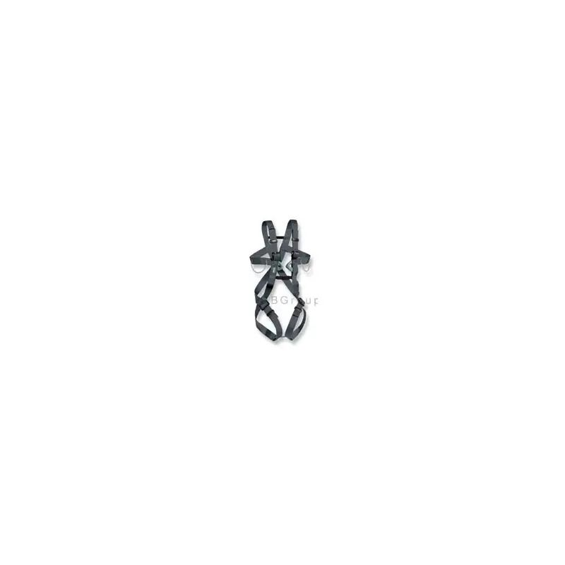 Petzl 8003 Full body harness for adults-2
