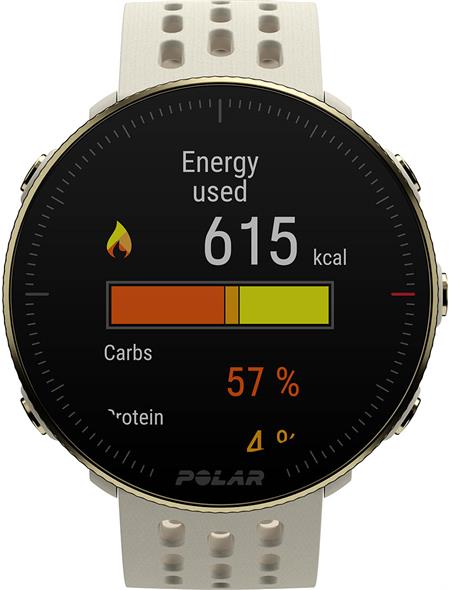 Polar Vantage M2 HRM Multisport Watch - Gold Champagne