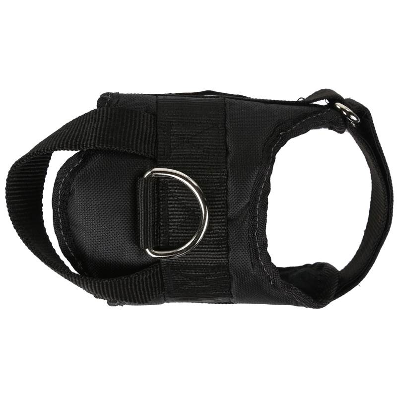 Regatta Reflective Dog Harness-2