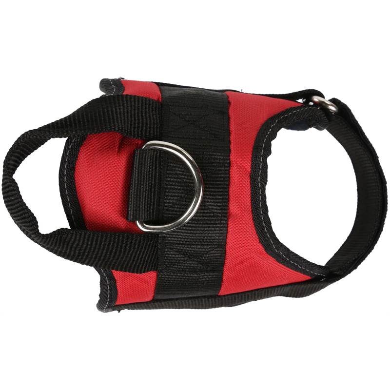 Regatta Reflective Dog Harness-1