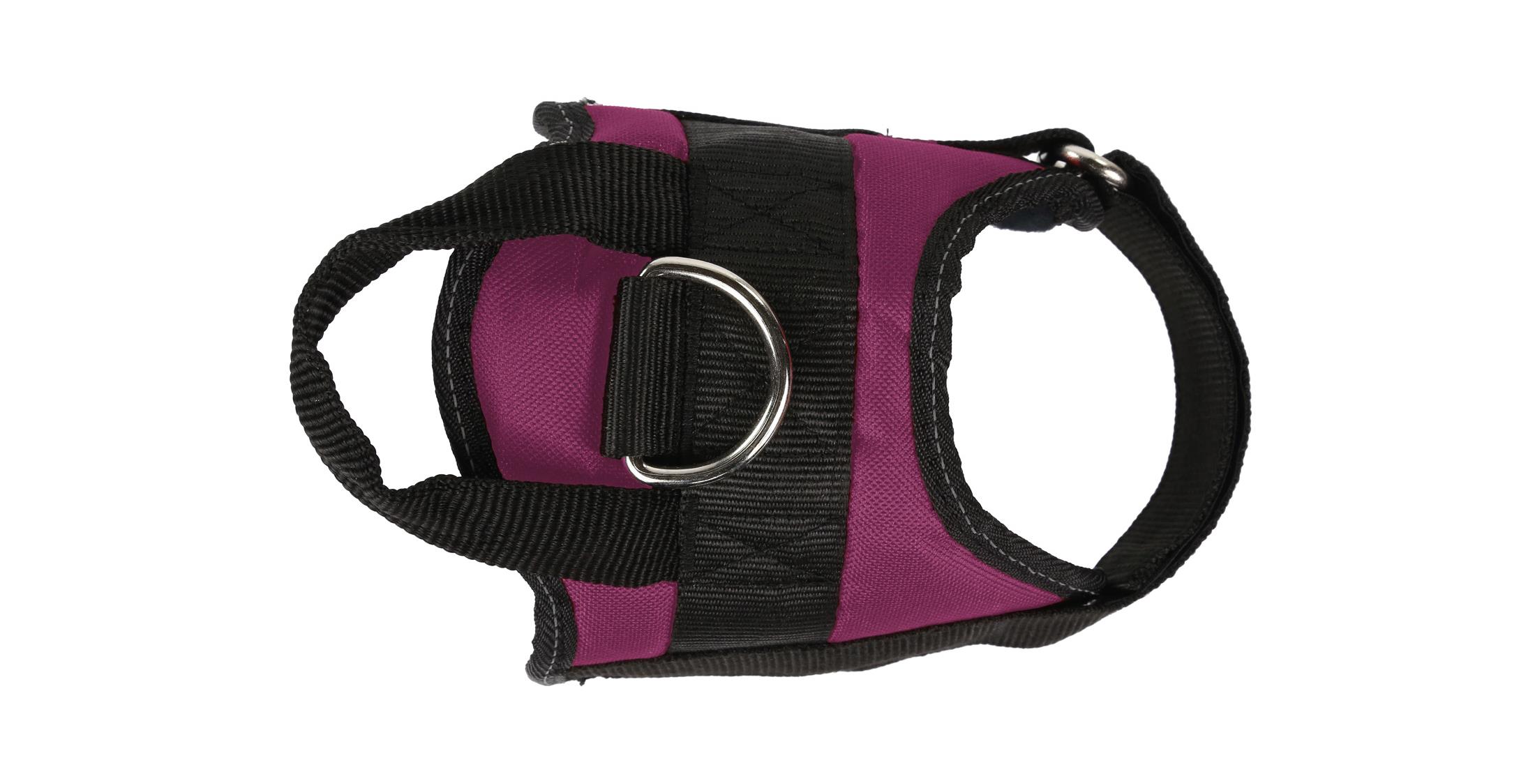 Regatta Reflective Dog Harness