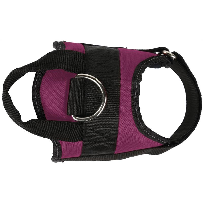 Regatta Reflective Dog Harness-3