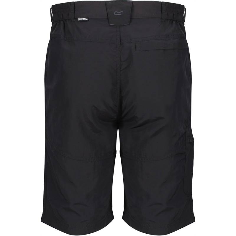 Regatta Mens Leesville Shorts-2