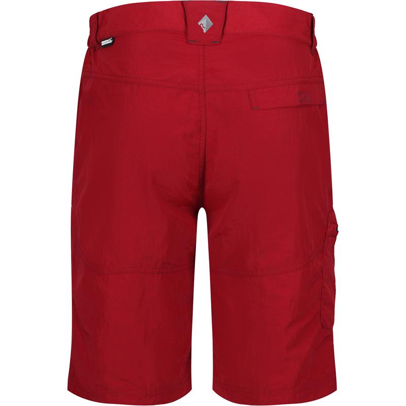 Regatta Mens Leesville Shorts-2