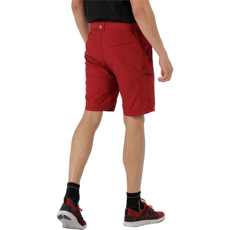 Regatta Mens Leesville Shorts-4