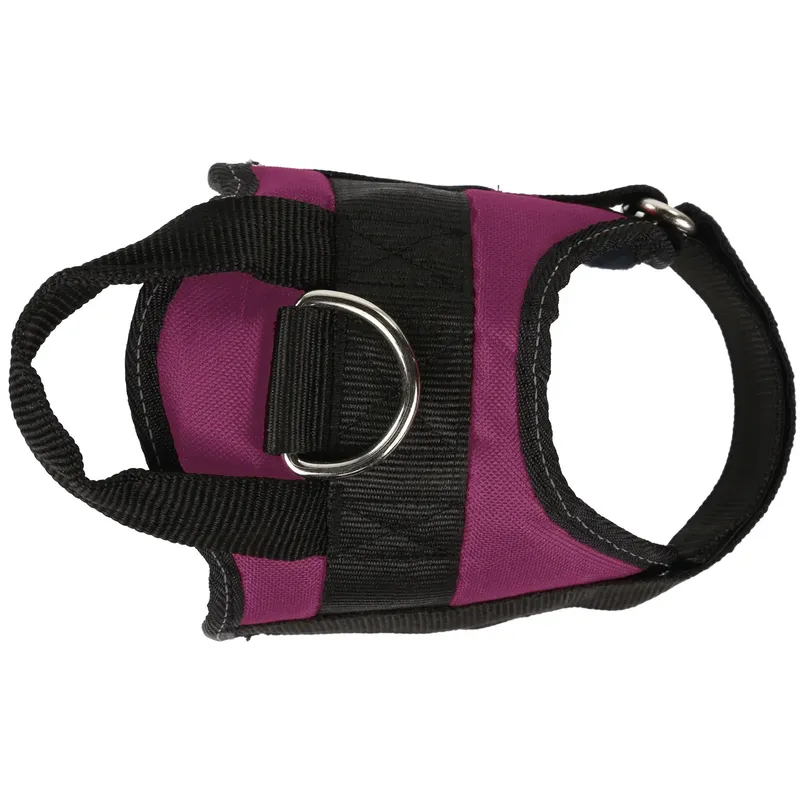 Regatta Reflective Dog Harness-3