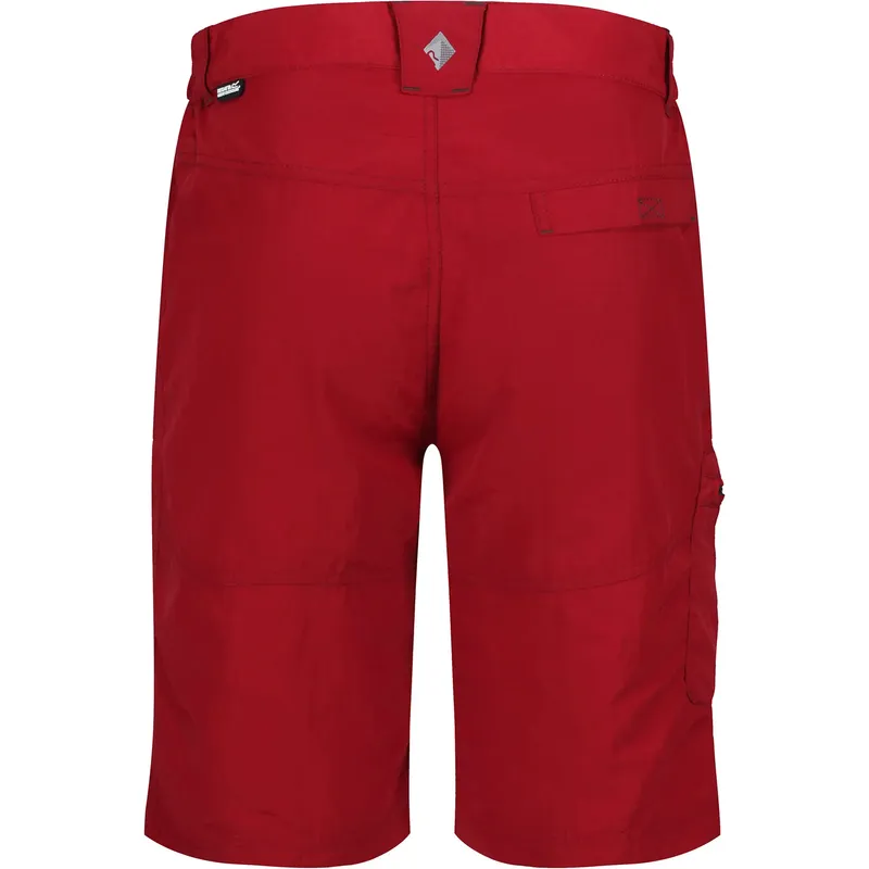 Regatta Mens Leesville Shorts-2