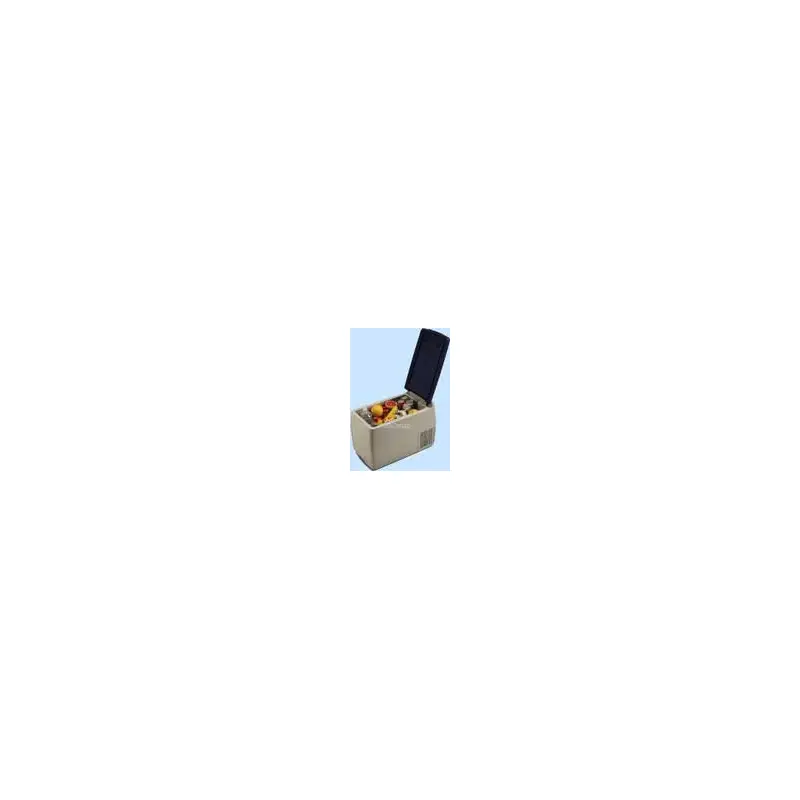 Indel B Tb32a Travel Box Fridge Compressor C2971-2