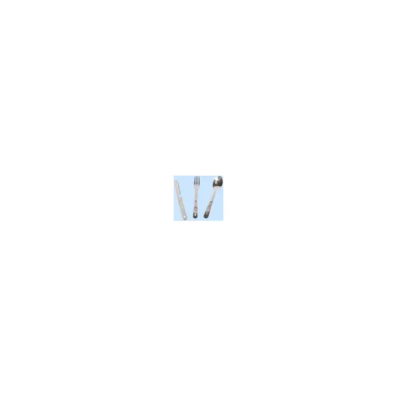 3-Piece Cutlery Set-2