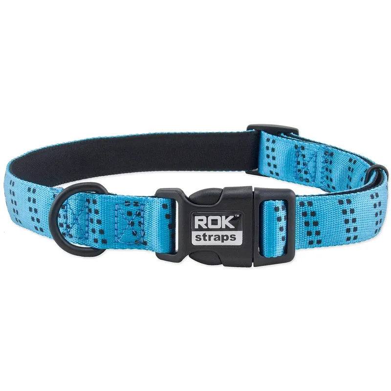 Rok Straps Medium Dog Collar-4