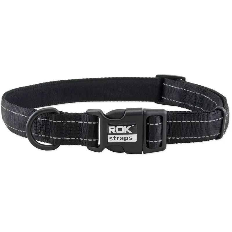 Rok Straps Medium Dog Collar-5