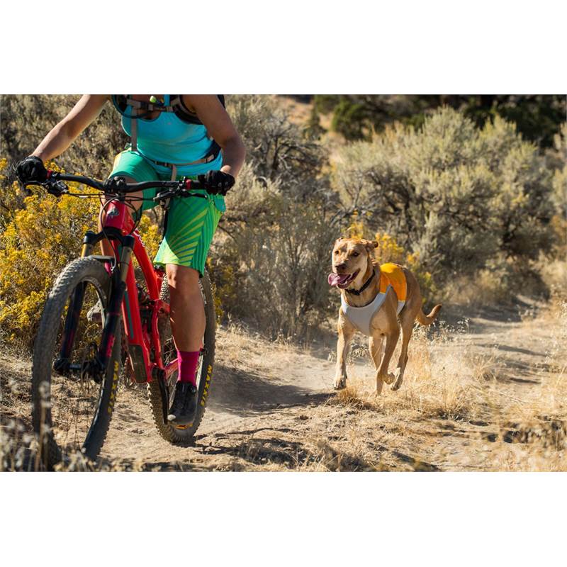 Ruffwear Jet Stream Dog Cooling Vest-5