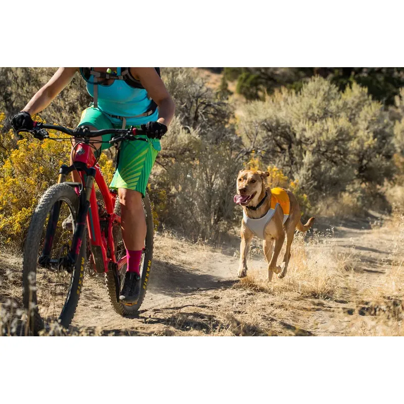Ruffwear Jet Stream Dog Cooling Vest-5