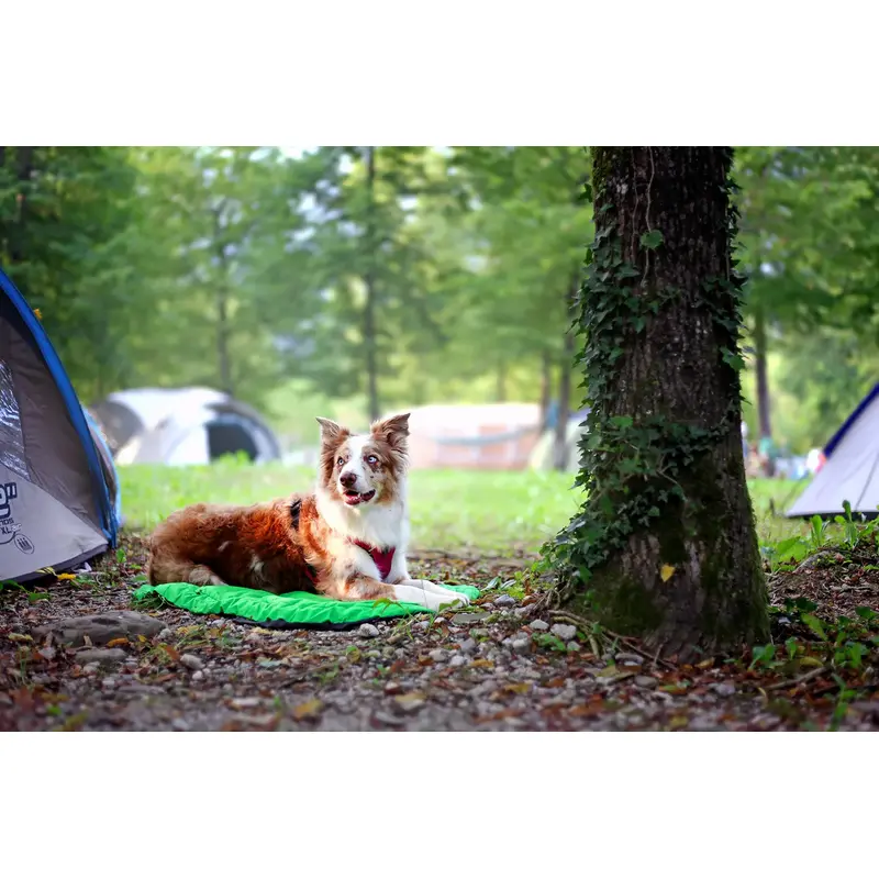 Ruffwear Highlands Dog Bed-5