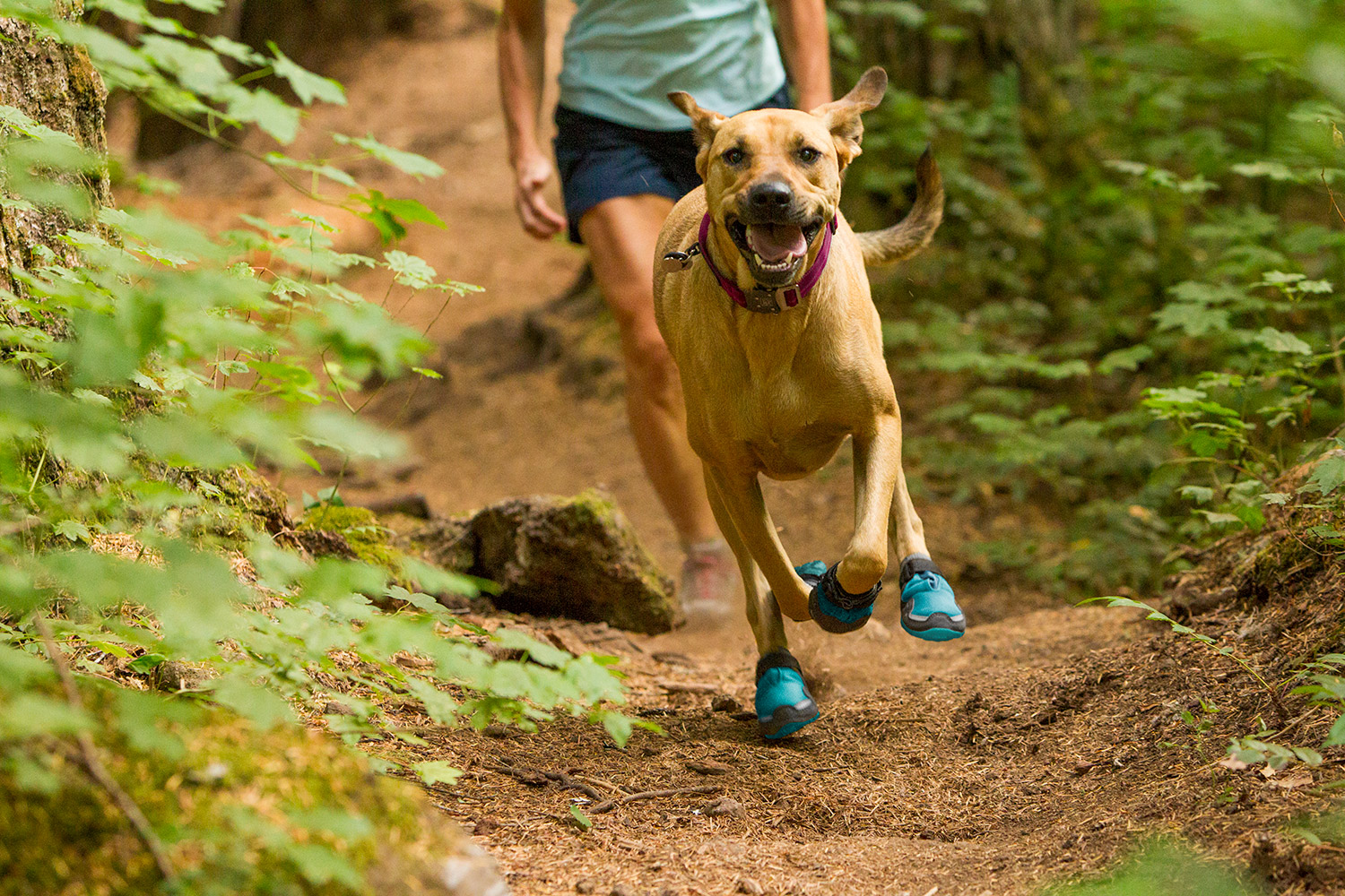 ruffwear dog boots