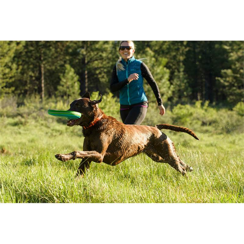 Ruffwear Hoopie Dog Collar-4