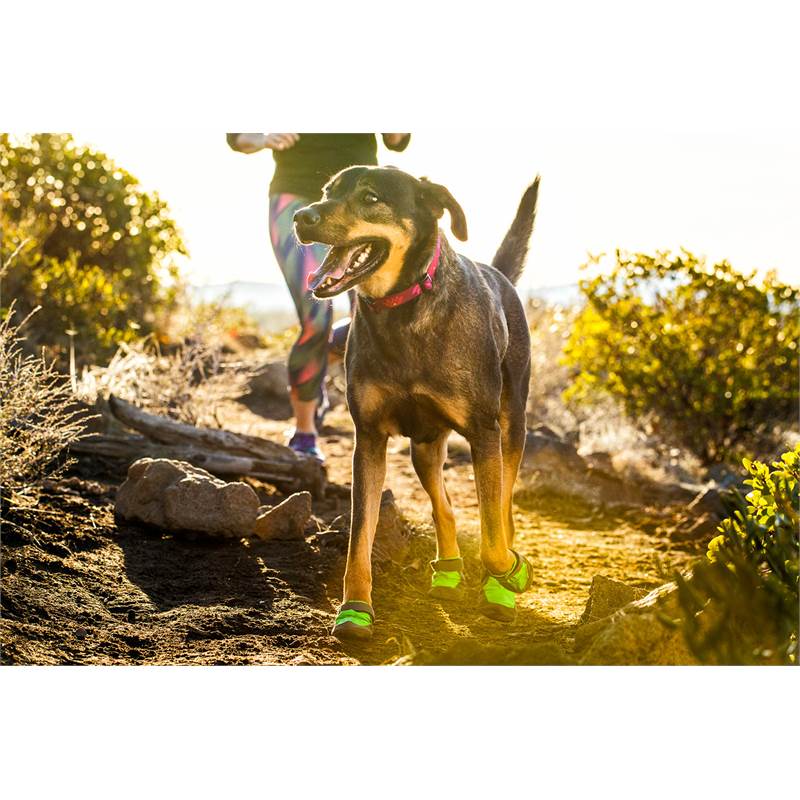 Ruffwear Hoopie Dog Collar-5