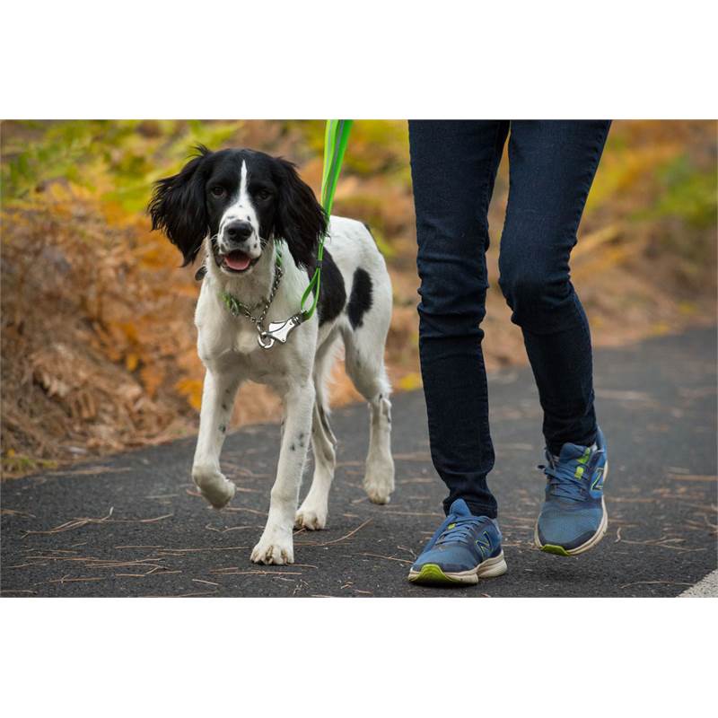 Ruffwear Chain Reaction Dog Collar-5