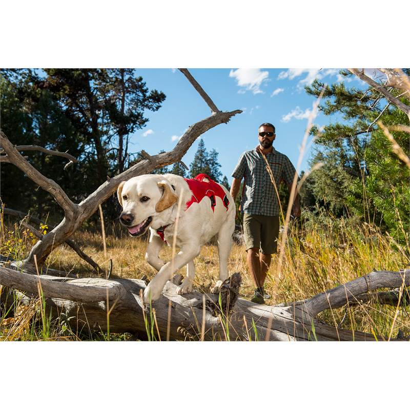 Ruffwear Web Master Dog Harness-2
