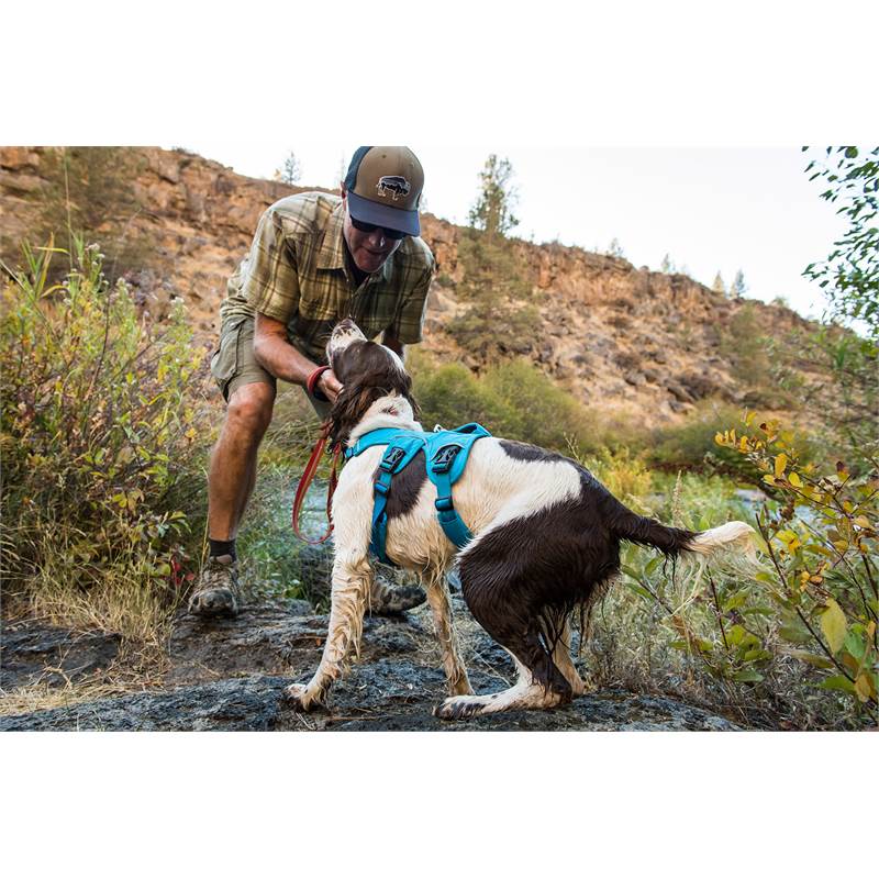 Ruffwear Web Master Dog Harness-3