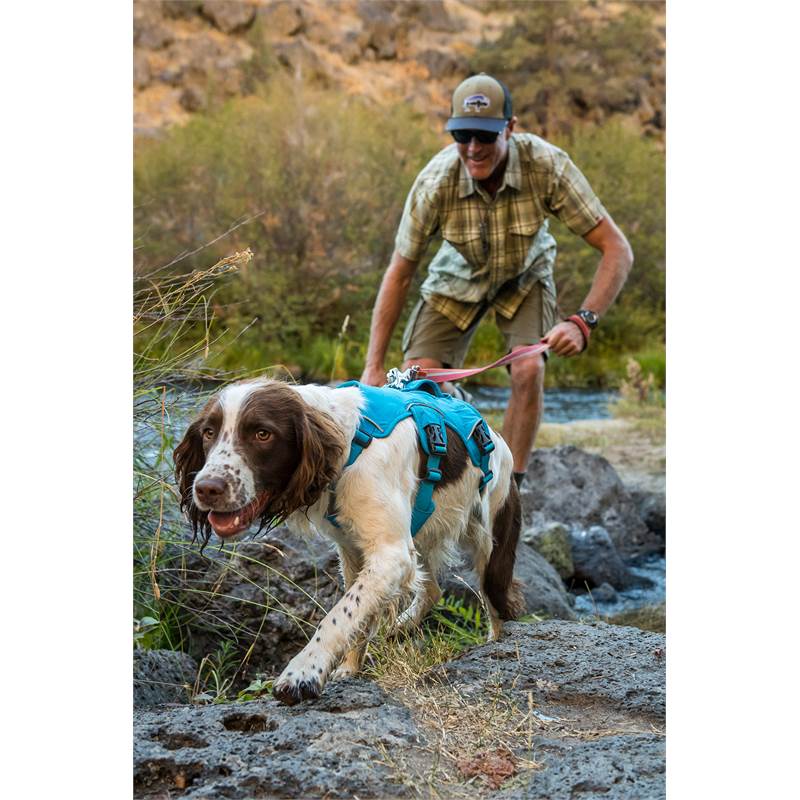 Ruffwear Web Master Dog Harness-4