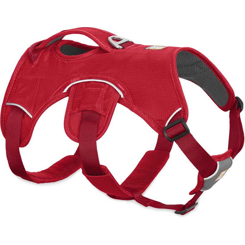 Ruffwear Web Master Dog Harness-5