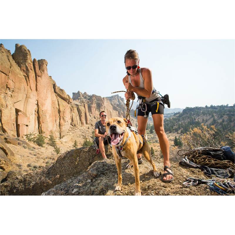 Ruffwear Doubleback Dog Harness-4
