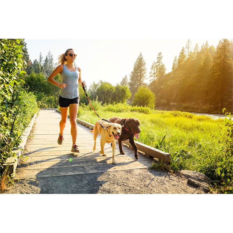 Ruffwear Double Track Coupler-4