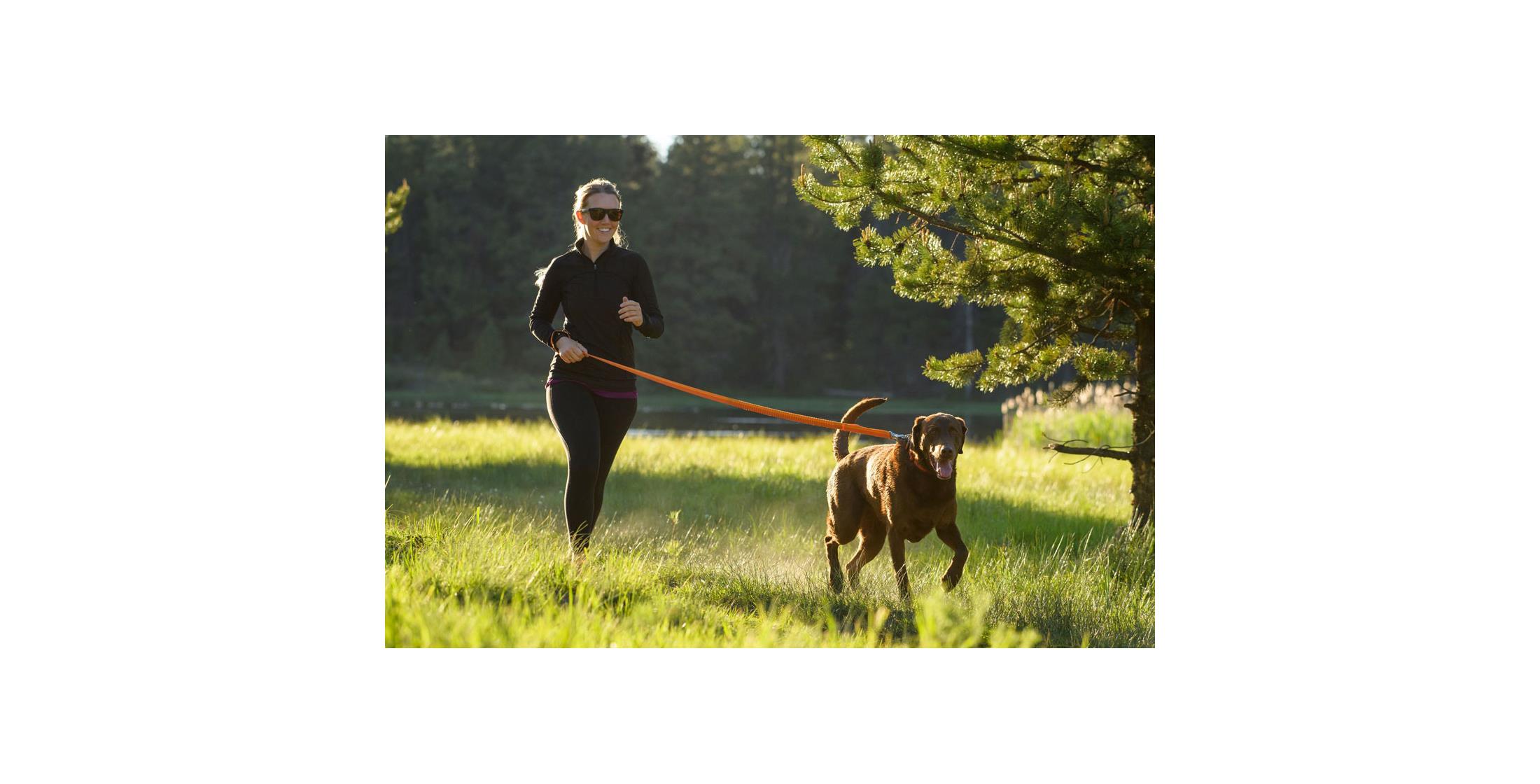 Ruffwear Roamer Leash