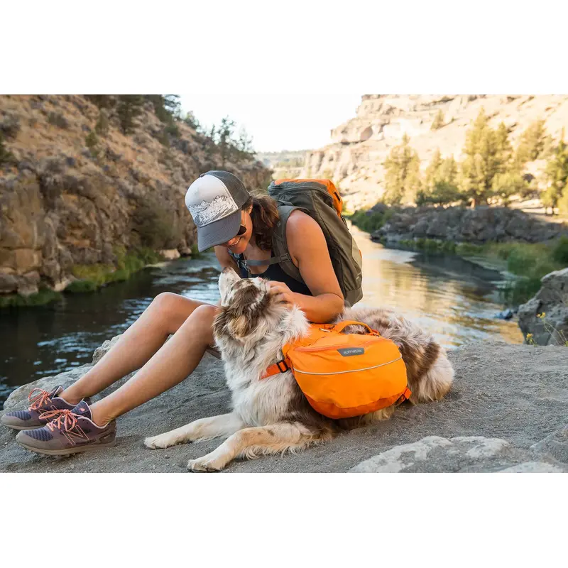 Ruffwear Approach Pack-4