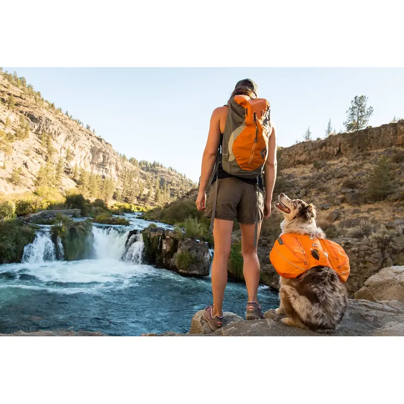 Ruffwear Approach Pack-5