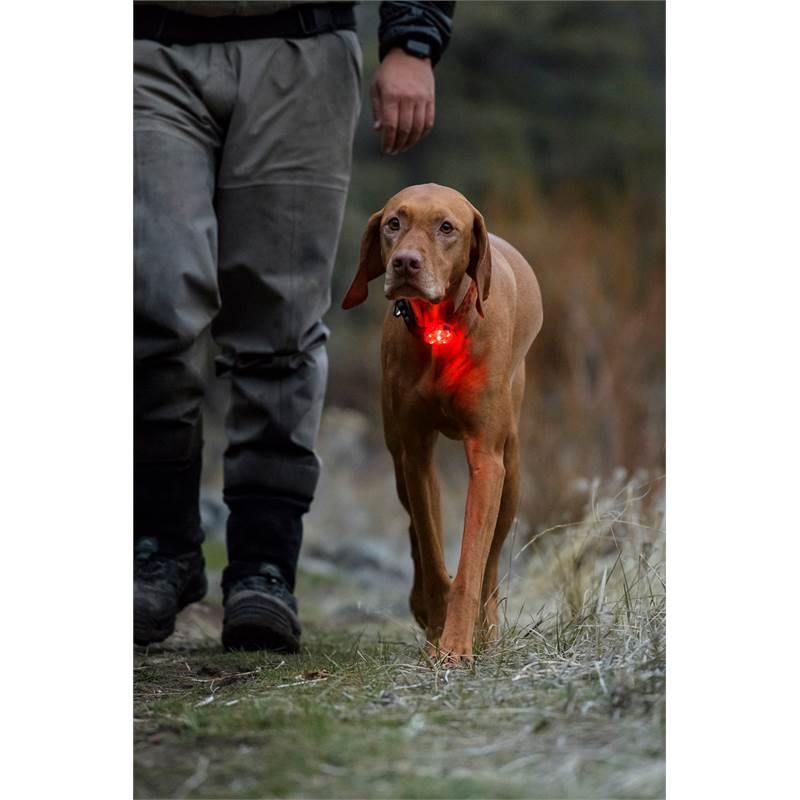 Ruffwear The Beacon-5