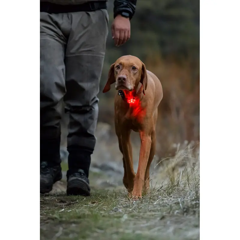 Ruffwear The Beacon-5
