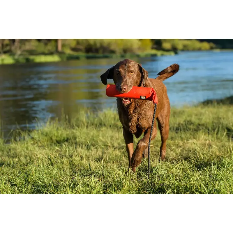 Ruffwear Lunker Toy-4