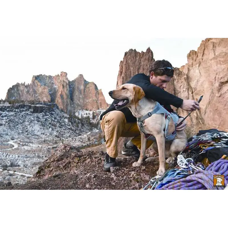 Ruffwear DoubleBack Harness-4
